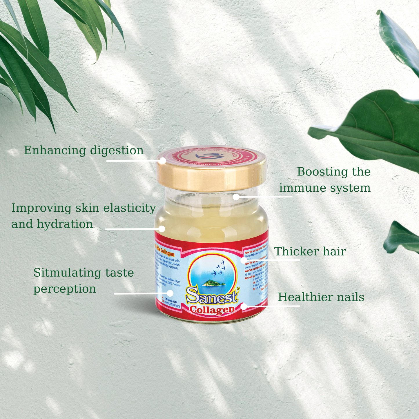 Collagen Sanest Bird's Nest Drink (Box 30 jars)